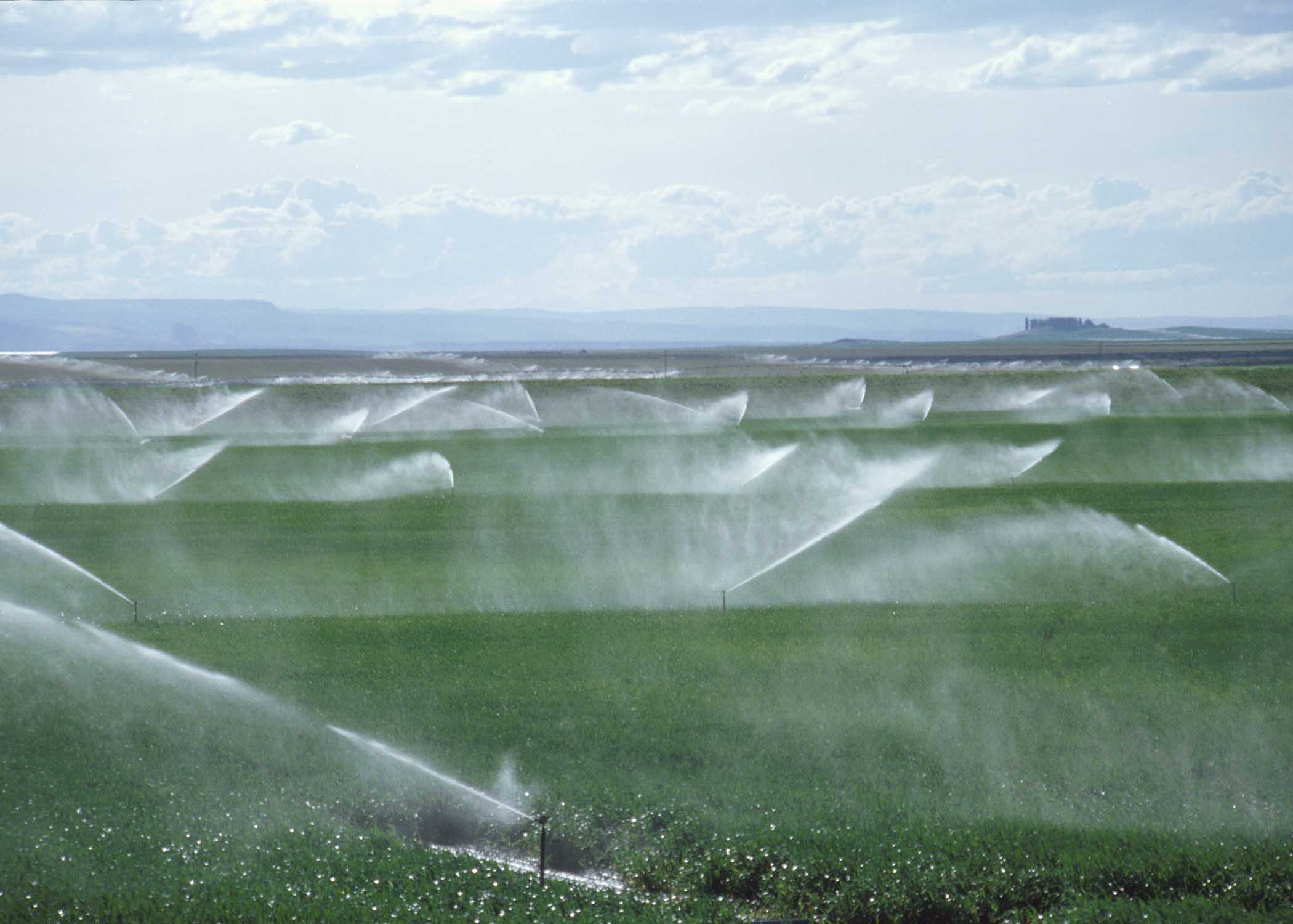 Pics Of Irrigation